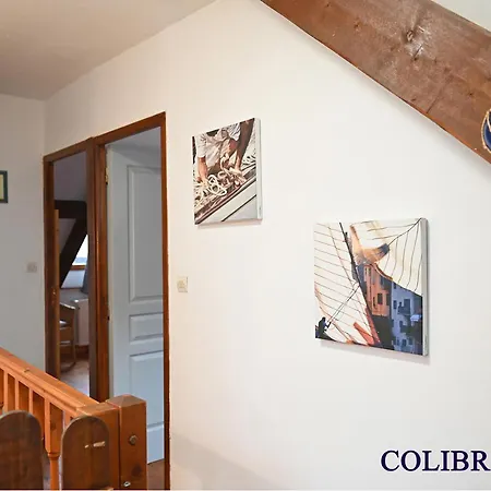Le Colibri